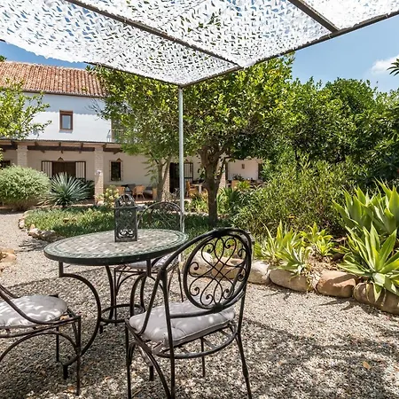 Guest house Limon Pizarra
