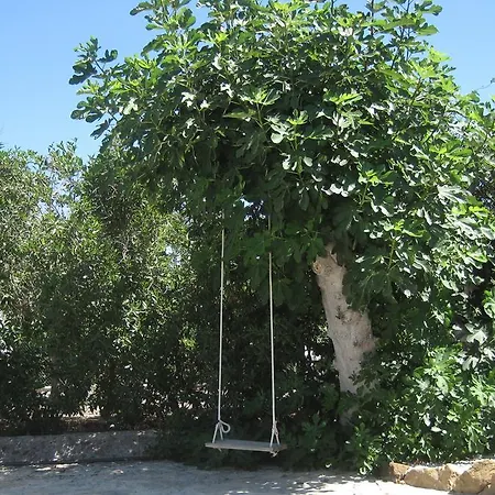 Limon