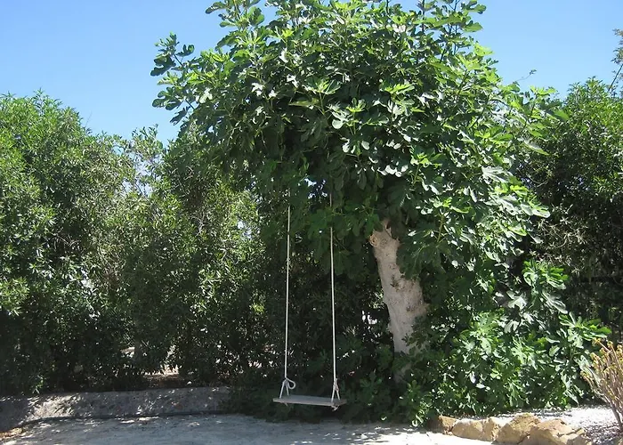 Limon