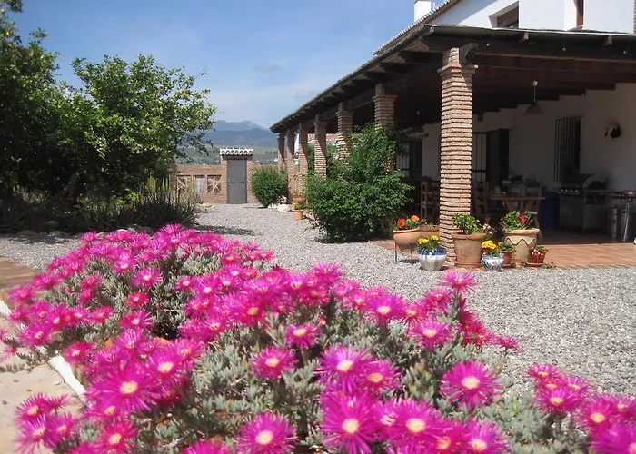 Limon Pizarra