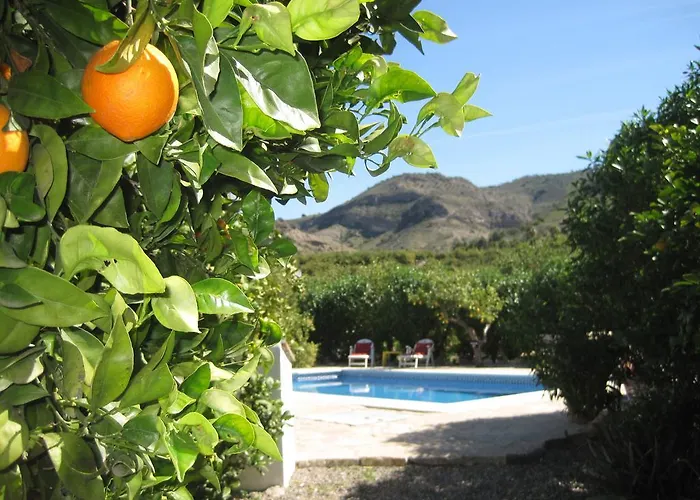 Affittacamere Limon Pizarra